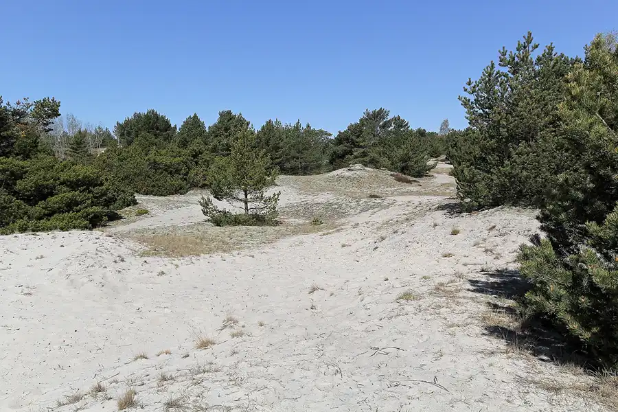 021 | 2016 | Mierzeja Helska/Hel | © carsten riede fotografie