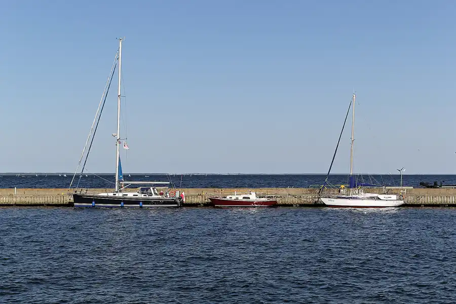 115 | 2016 | Puck | © carsten riede fotografie