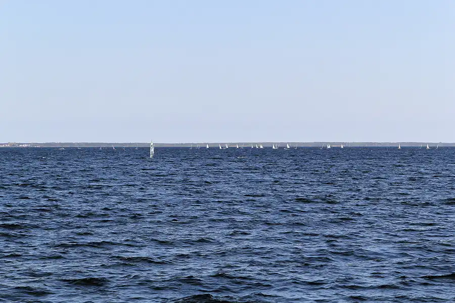 116 | 2016 | Puck | © carsten riede fotografie