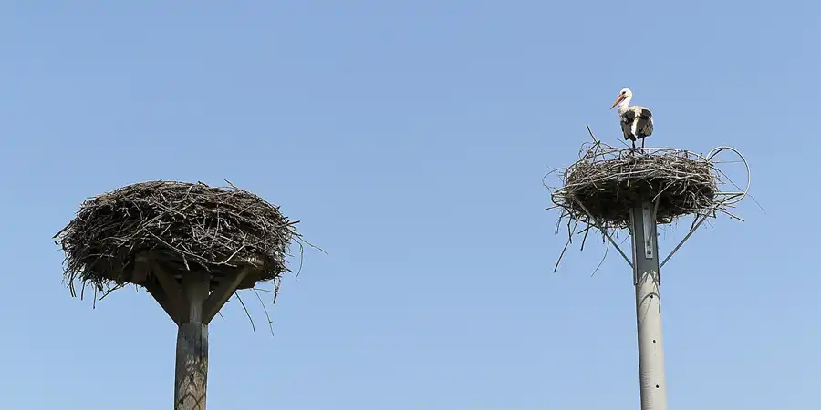 048 | 2016 | Gollenberg OT Stölln | © carsten riede fotografie