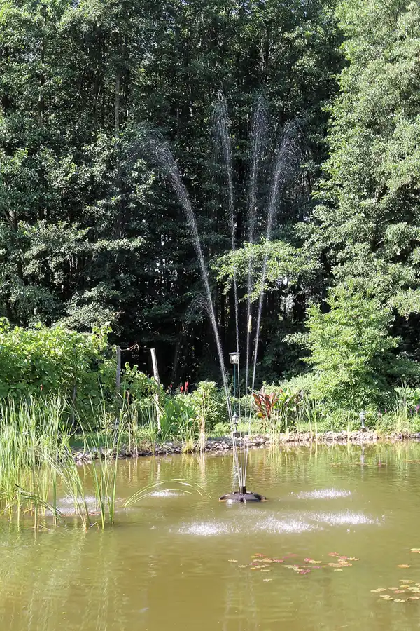 020 | 2016 | Burg/Spreewald | © carsten riede fotografie