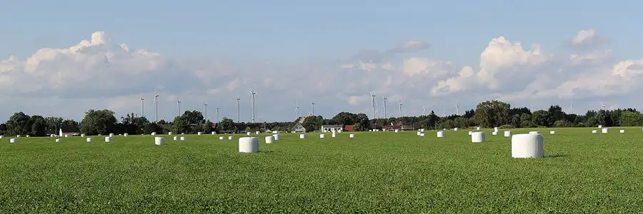 046 | 2016 | Freienhufen | © carsten riede fotografie