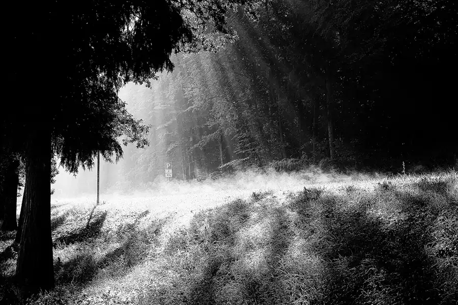 002 | 2016 | Chorin | © carsten riede fotografie