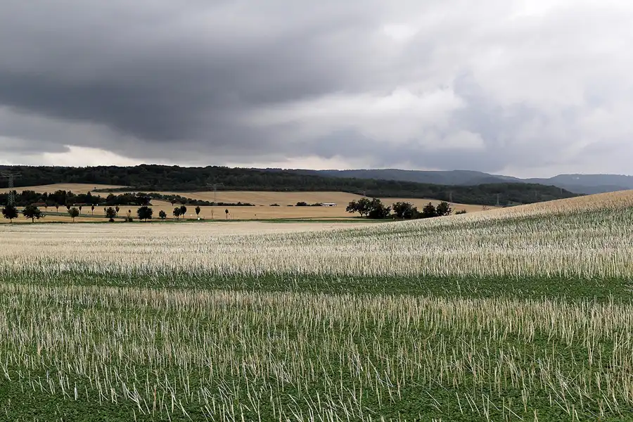 051 | 2016 | Quedlinburg | © carsten riede fotografie
