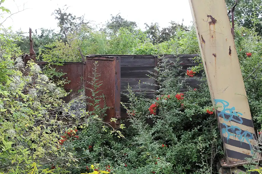 076 | 2016 | Gernrode | Selketalbahn | © carsten riede fotografie