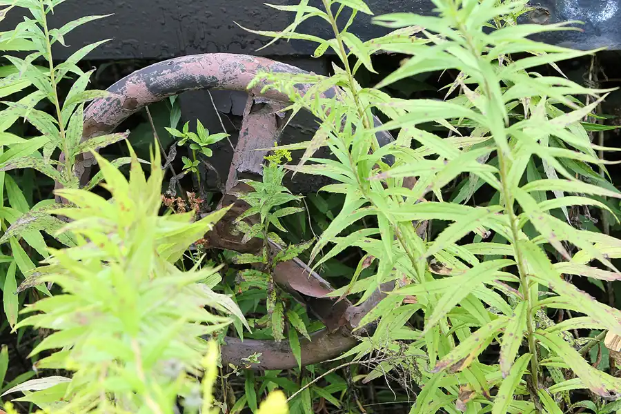 090 | 2016 | Gernrode | Selketalbahn | © carsten riede fotografie