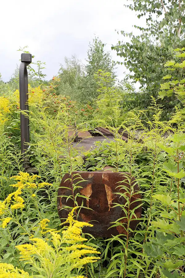 094 | 2016 | Gernrode | Selketalbahn | © carsten riede fotografie