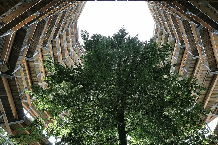 062 | 2016 | Prora | Naturerbe Zentrum Rügen – Baumwipfelpfad | © carsten riede fotografie