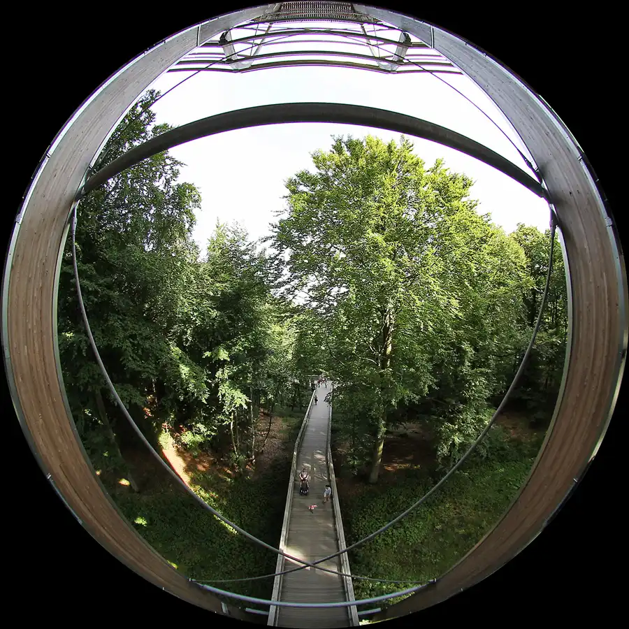 075 | 2016 | Prora | Naturerbe Zentrum Rügen – Baumwipfelpfad | © carsten riede fotografie