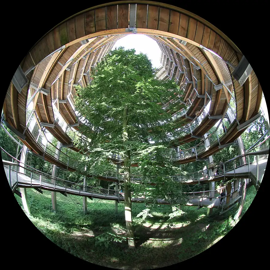 076 | 2016 | Prora | Naturerbe Zentrum Rügen – Baumwipfelpfad | © carsten riede fotografie