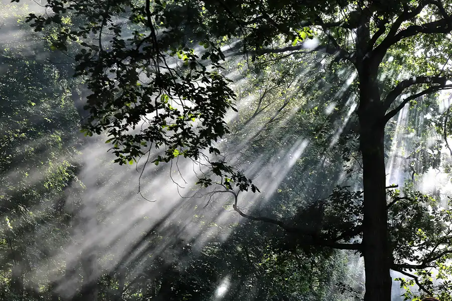 083 | 2016 | Ostseebad Göhren – Putbus | Fahrt mit dem Rasenden Roland | © carsten riede fotografie