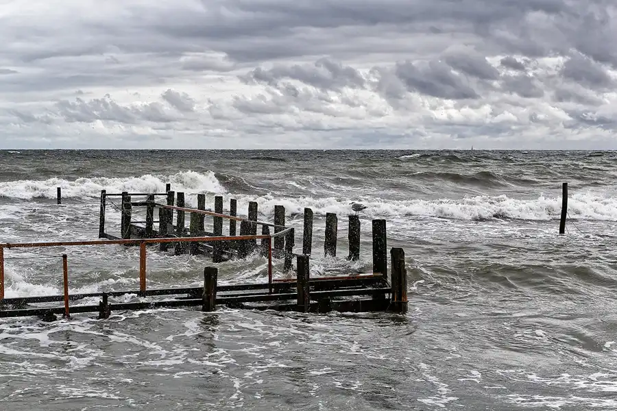 136 | 2016 | Vitt | © carsten riede fotografie