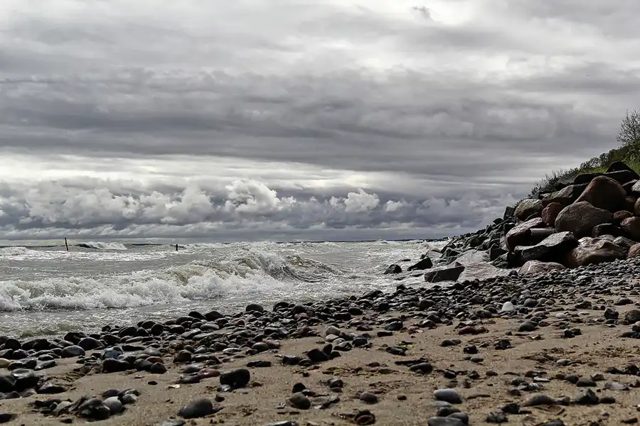 143 | 2016 | Vitt | © carsten riede fotografie