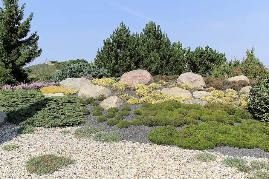 012 | 2016 | Nochten | Findlingspark | © carsten riede fotografie