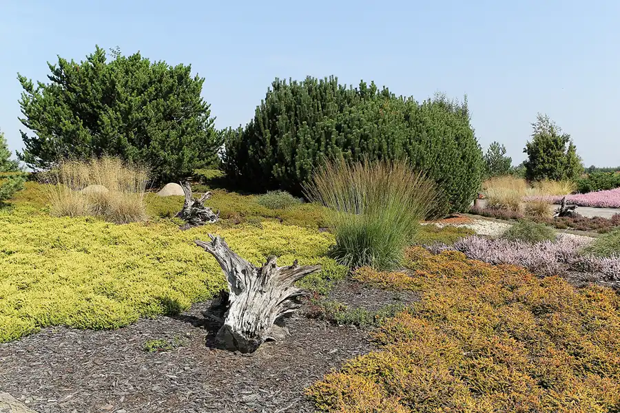 013 | 2016 | Nochten | Findlingspark | © carsten riede fotografie