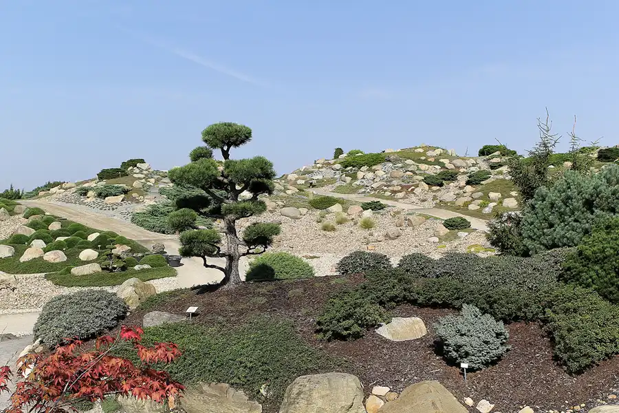 018 | 2016 | Nochten | Findlingspark | © carsten riede fotografie