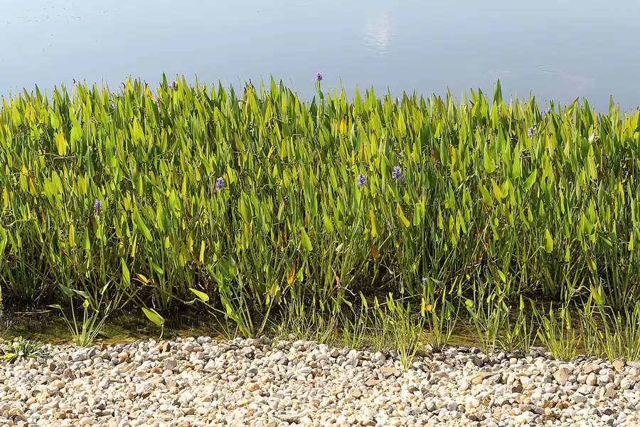 019 | 2016 | Nochten | Findlingspark | © carsten riede fotografie