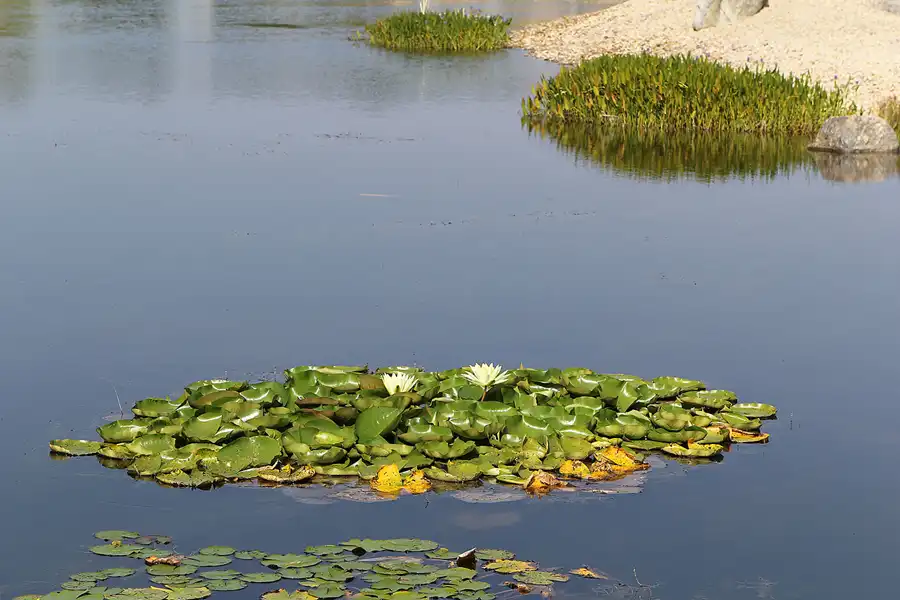 023 | 2016 | Nochten | Findlingspark | © carsten riede fotografie