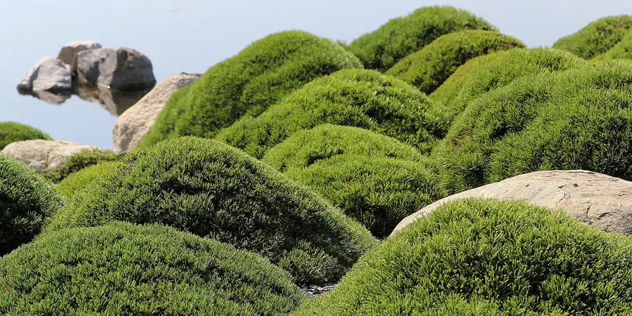 026 | 2016 | Nochten | Findlingspark | © carsten riede fotografie