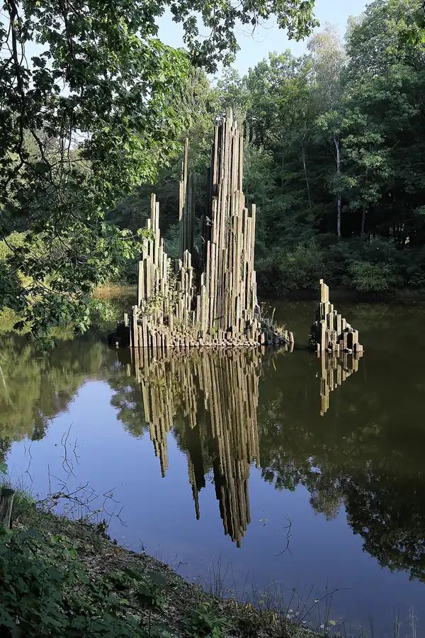 106 | 2016 | Kromlau | Rhododendronpark Kromlau | © carsten riede fotografie