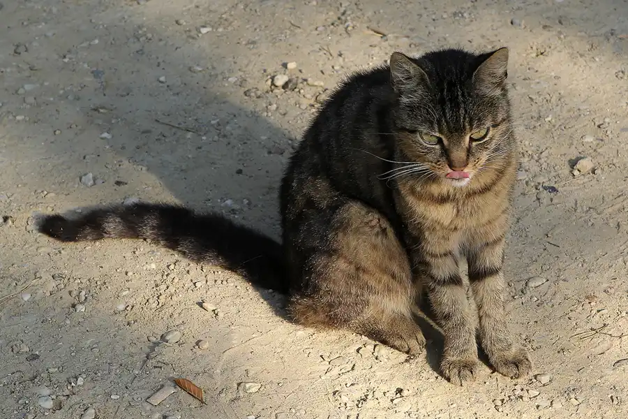 107 | 2016 | Kromlau | Rhododendronpark Kromlau | © carsten riede fotografie