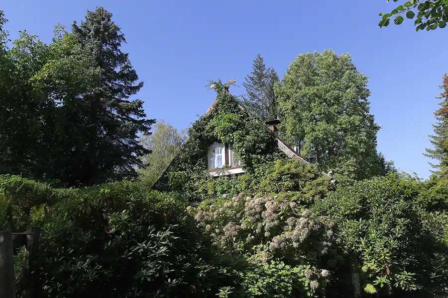 122 | 2016 | Spreewald | Kahnfahrt Lübbenau – Lehde – Lübbenau | © carsten riede fotografie