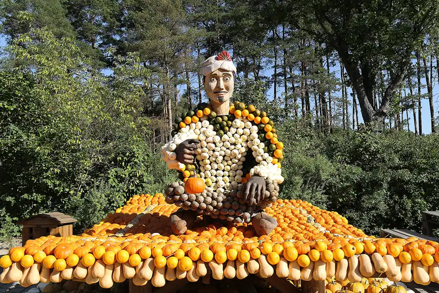 002 | 2016 | Beelitz GT Klaistow | Kürbisausstellung | © carsten riede fotografie