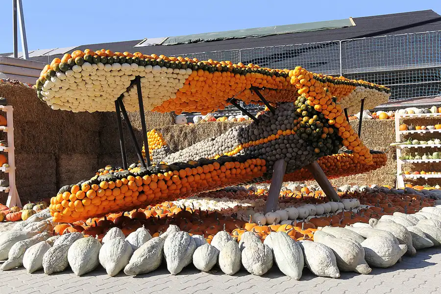 005 | 2016 | Beelitz GT Klaistow | Kürbisausstellung | © carsten riede fotografie