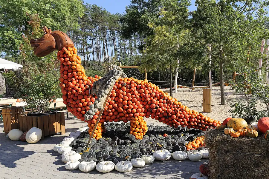 007 | 2016 | Beelitz GT Klaistow | Kürbisausstellung | © carsten riede fotografie