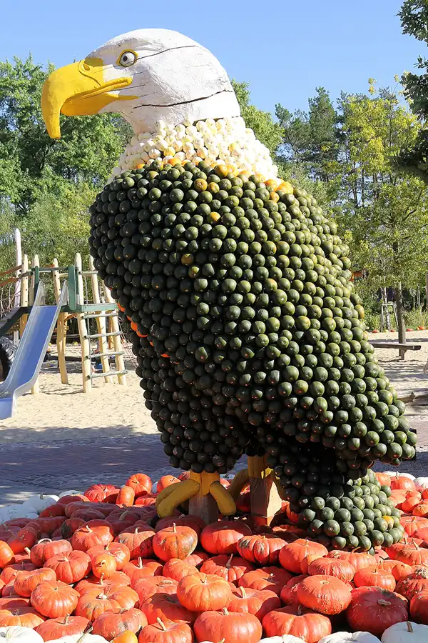 008 | 2016 | Beelitz GT Klaistow | Kürbisausstellung | © carsten riede fotografie