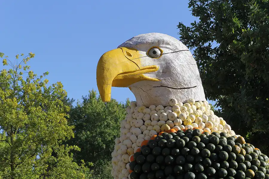 010 | 2016 | Beelitz GT Klaistow | Kürbisausstellung | © carsten riede fotografie