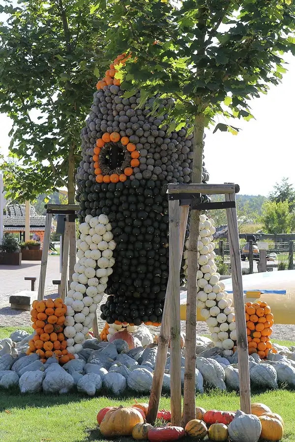 012 | 2016 | Beelitz GT Klaistow | Kürbisausstellung | © carsten riede fotografie