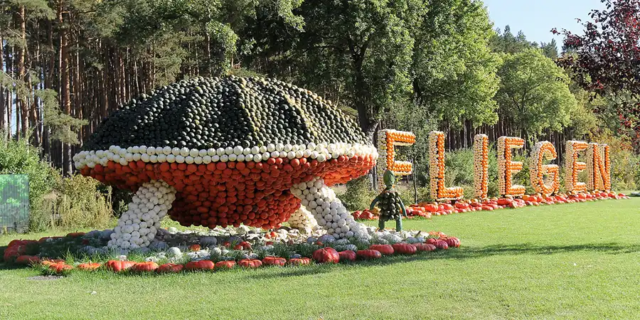 016 | 2016 | Beelitz GT Klaistow | Kürbisausstellung | © carsten riede fotografie
