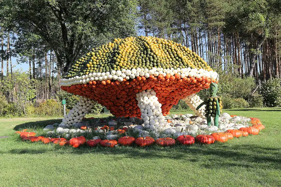 017 | 2016 | Beelitz GT Klaistow | Kürbisausstellung | © carsten riede fotografie