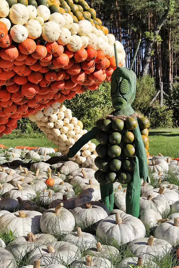 018 | 2016 | Beelitz GT Klaistow | Kürbisausstellung | © carsten riede fotografie