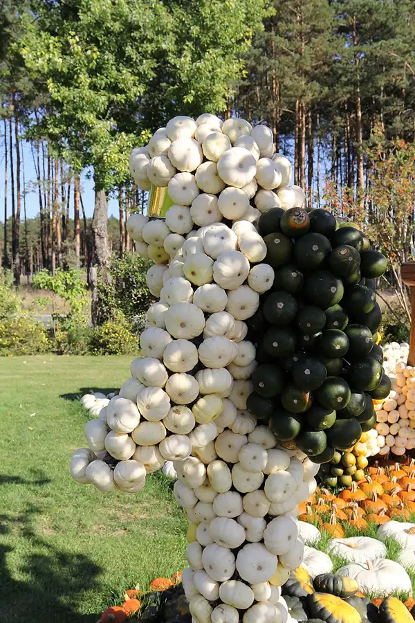 022 | 2016 | Beelitz GT Klaistow | Kürbisausstellung | © carsten riede fotografie