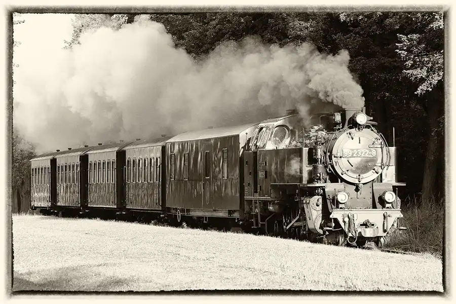 016 | 2016 | Bad Doberan | Rennbahn – Mecklenburgische Bäderbahn Molli | © carsten riede fotografie