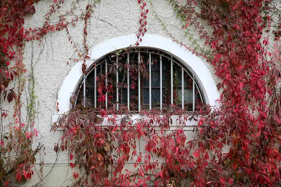 106 | 2016 | Bad Doberan | © carsten riede fotografie