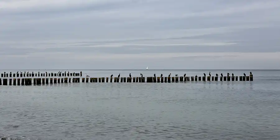 125 | 2016 | Heiligendamm | © carsten riede fotografie