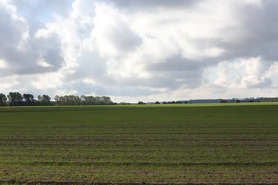 140 | 2016 | Wittenbeck/Steilküste | © carsten riede fotografie