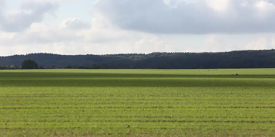 141 | 2016 | Wittenbeck/Steilküste | © carsten riede fotografie