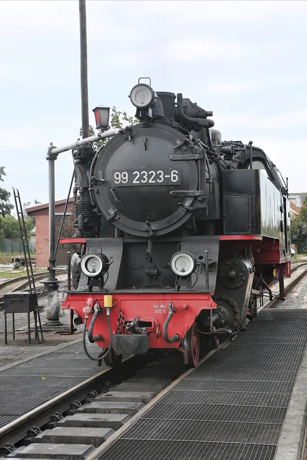 2016_32_096 | Kühlungsborn-West | Mecklenburgische Bäderbahn Molli | © carsten riede fotografie
