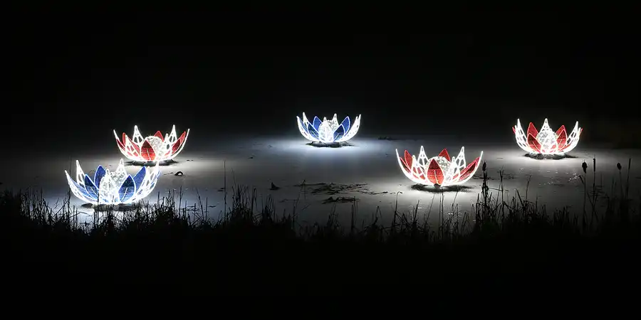 001 | 2016 | Berlin | Christmas Garden – Botanischer Garten | © carsten riede fotografie