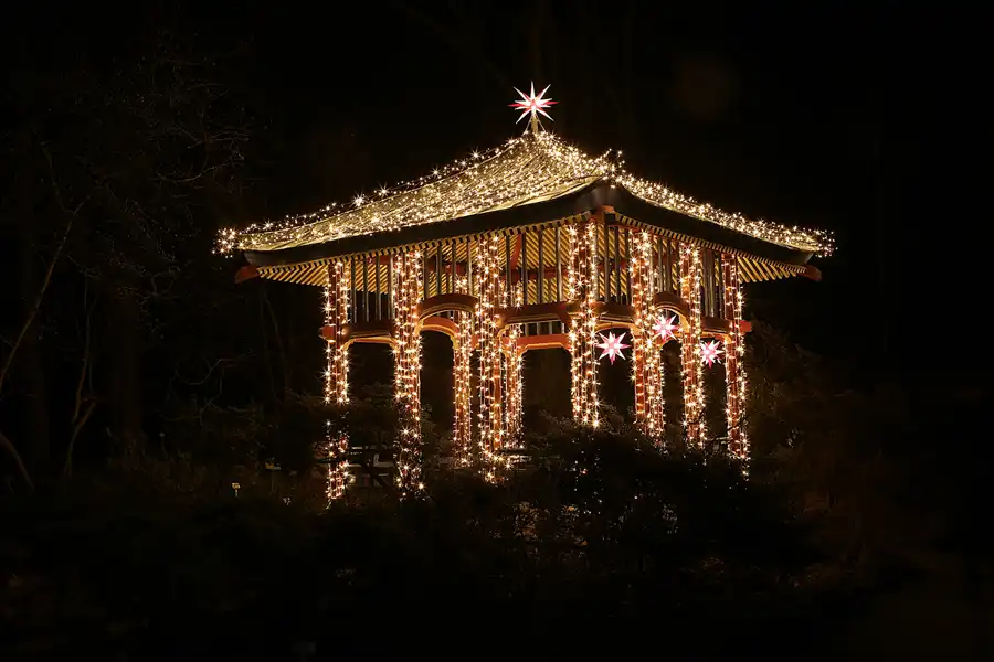 011 | 2016 | Berlin | Christmas Garden – Botanischer Garten | © carsten riede fotografie