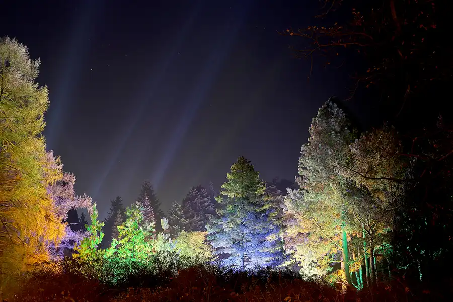 016 | 2016 | Berlin | Christmas Garden – Botanischer Garten | © carsten riede fotografie