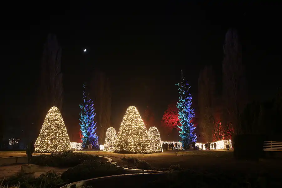 019 | 2016 | Berlin | Christmas Garden – Botanischer Garten | © carsten riede fotografie