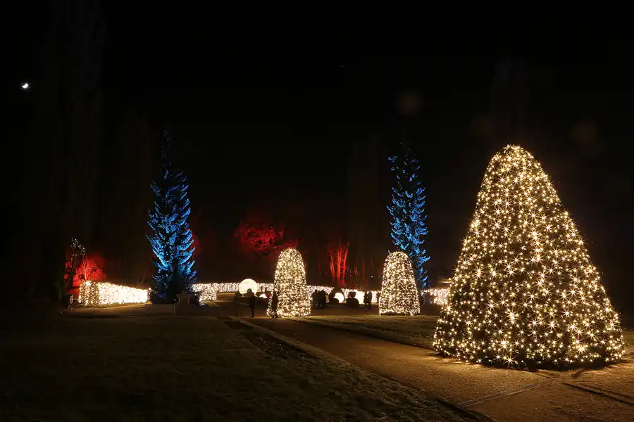 020 | 2016 | Berlin | Christmas Garden – Botanischer Garten | © carsten riede fotografie