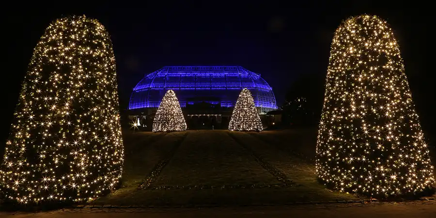021 | 2016 | Berlin | Christmas Garden – Botanischer Garten | © carsten riede fotografie