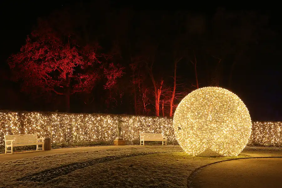 022 | 2016 | Berlin | Christmas Garden – Botanischer Garten | © carsten riede fotografie