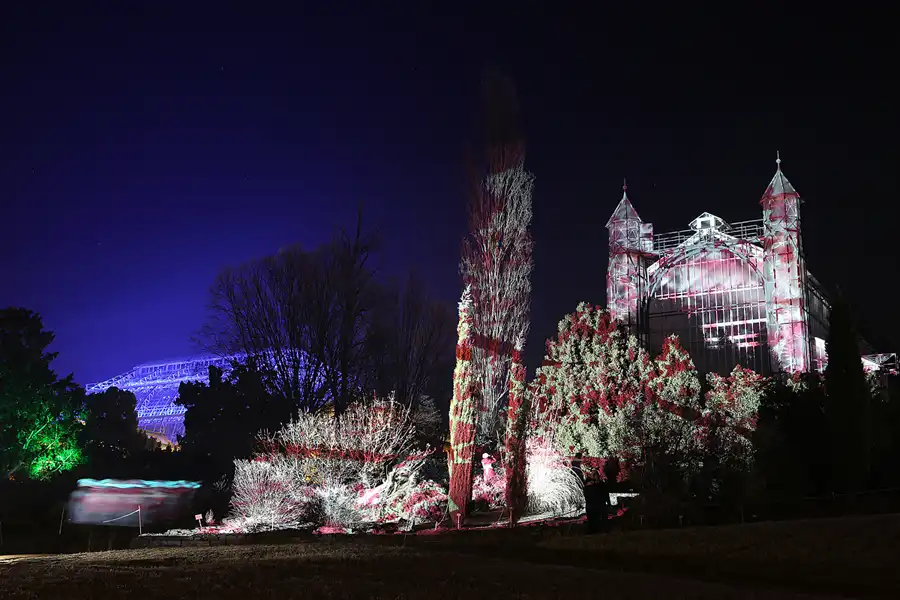 028 | 2016 | Berlin | Christmas Garden – Botanischer Garten | © carsten riede fotografie
